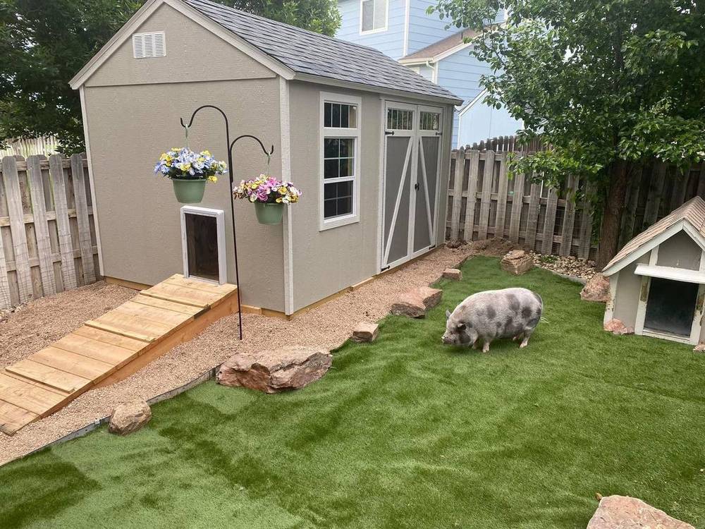 Reclaimed artificial turf installed across a residential backyard