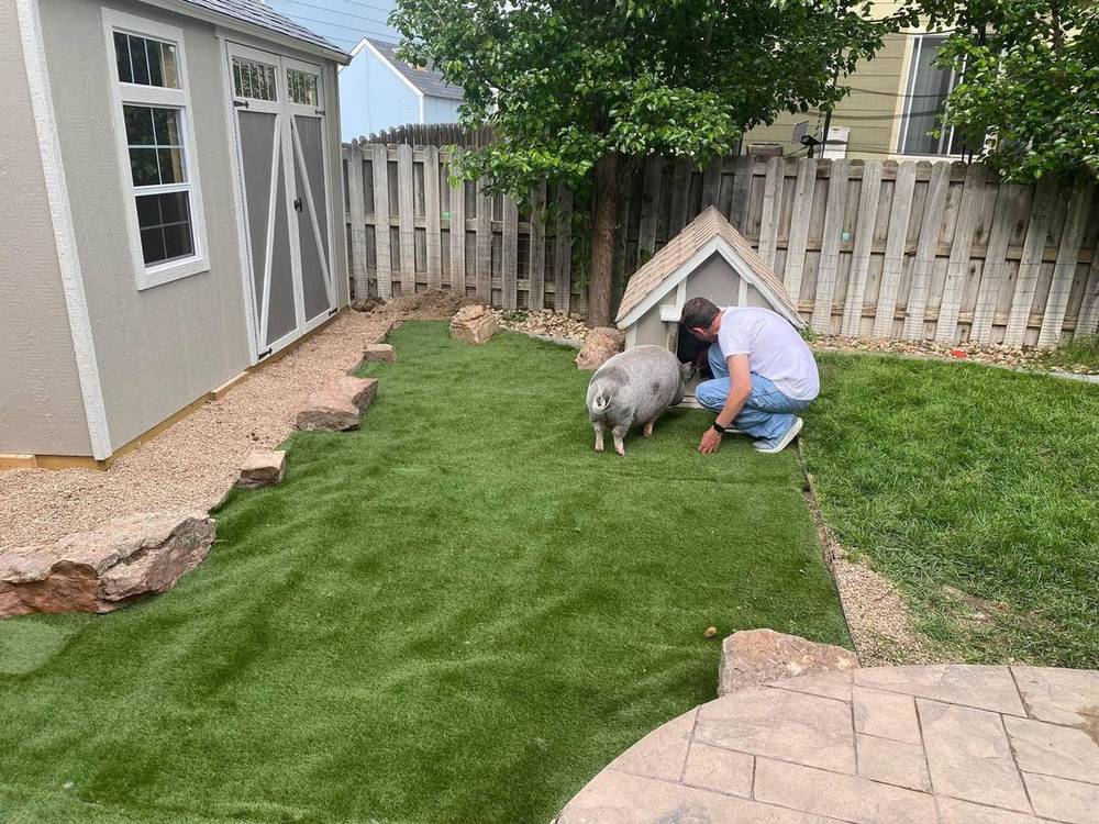 Outdoor yard installation using reclaimed materials